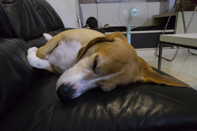 輕巧時尚．隨時連網分享－為妳量身打造的羽量級單眼「Samsung NX Mini」開箱與功能評測！ - 阿祥的網路筆記本