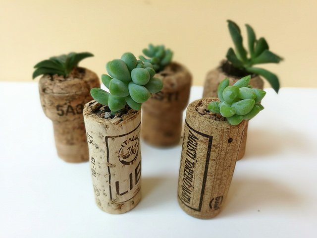 2016-05-26 22.22.44-2