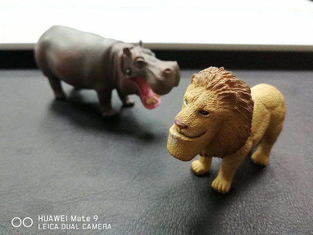 2016-12-13 17.49.17-1