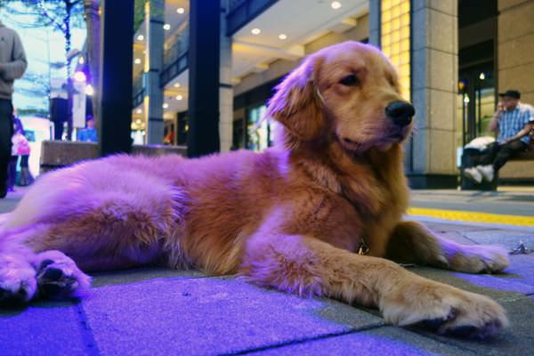 4G實機體驗!三星GALAXY S5「啟動你的心生活」展場體驗心得分享! - 阿祥的網路筆記本 s5roadshow037